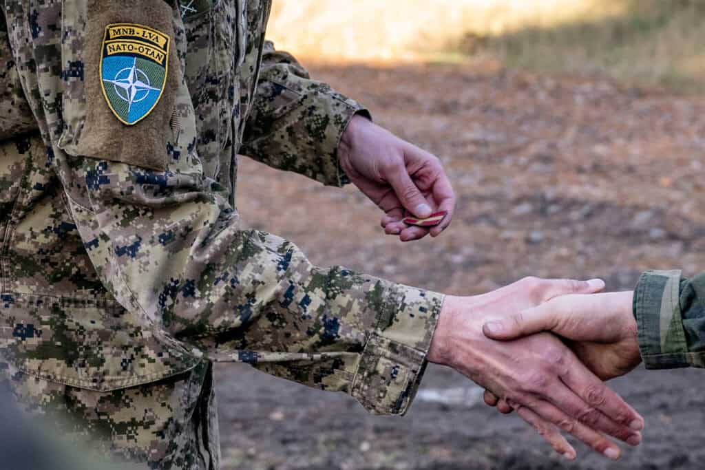 Nato är inträdes­biljetten till regional försvarsintegration