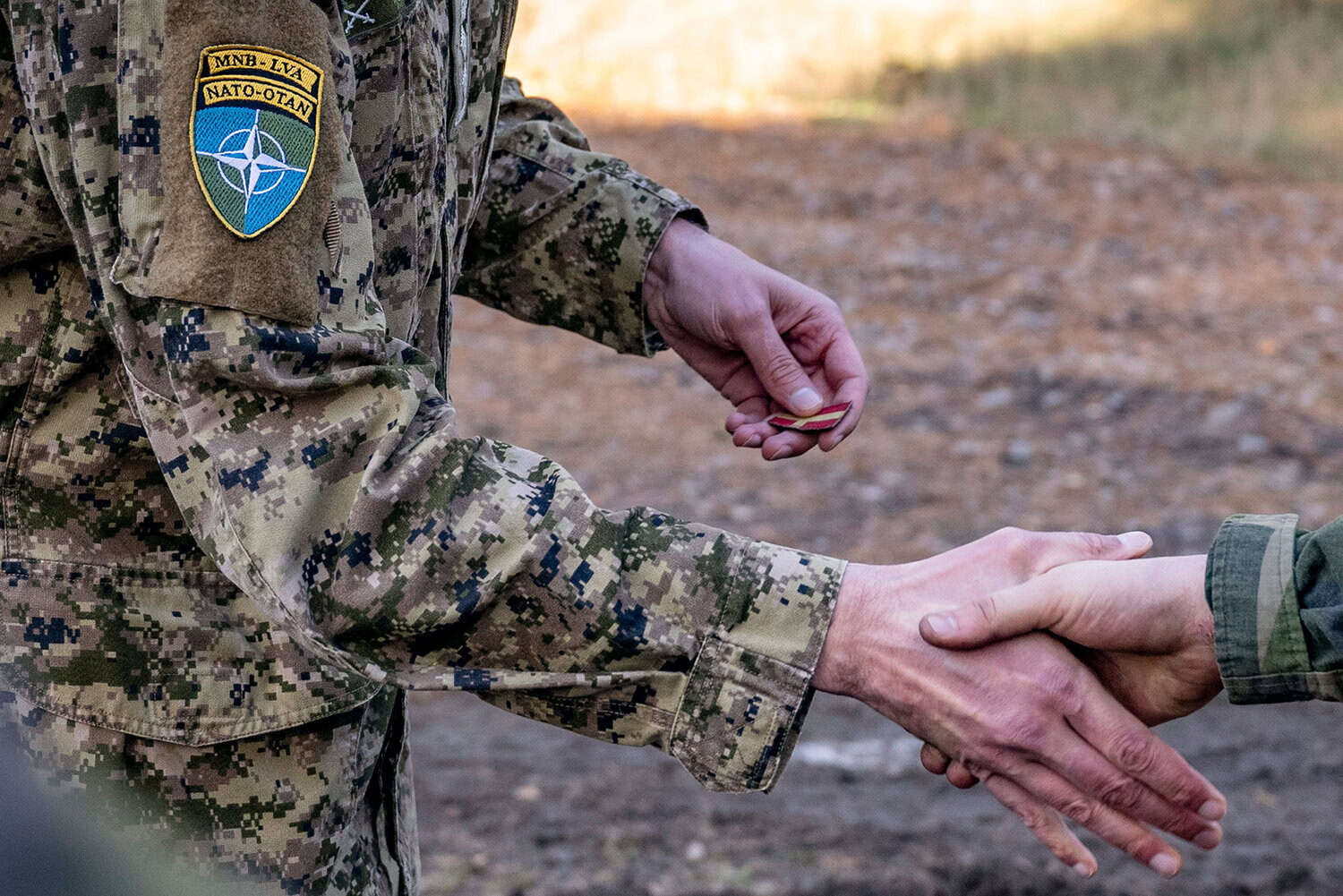 Nato är inträdes­biljetten till regional försvarsintegration