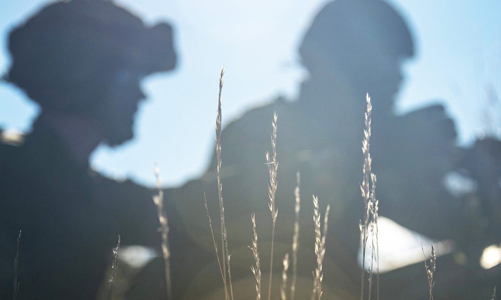 Foto: Johan Lundahl/Försvarsmakten