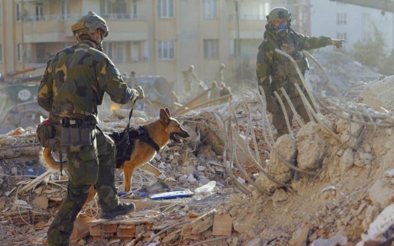 Försvarsmaktens hundekipage var med och räddade flera människor ur rasmassorna i det jordbävningsdrabbade området.