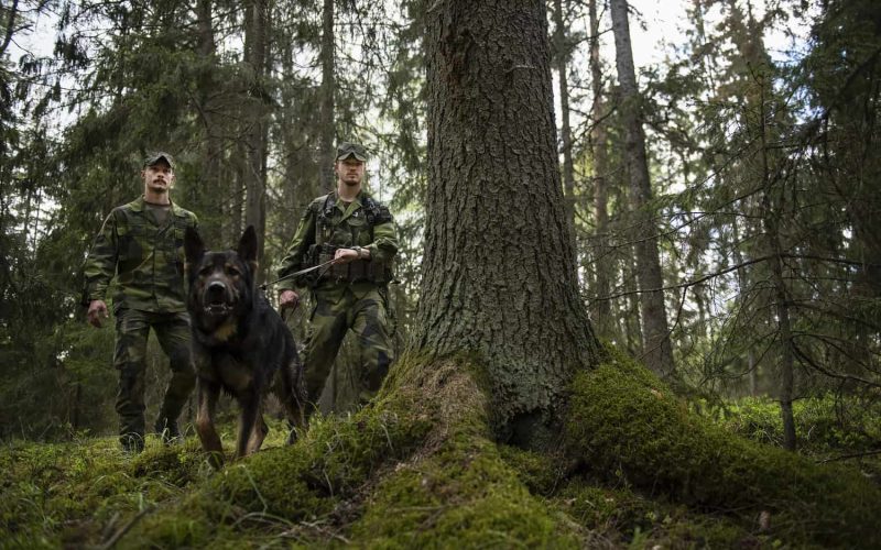 Blivande hundförarna Albin Svensson och Adrian Rosell. Varje år utbildas 25 nya hundekipage till förbanden.